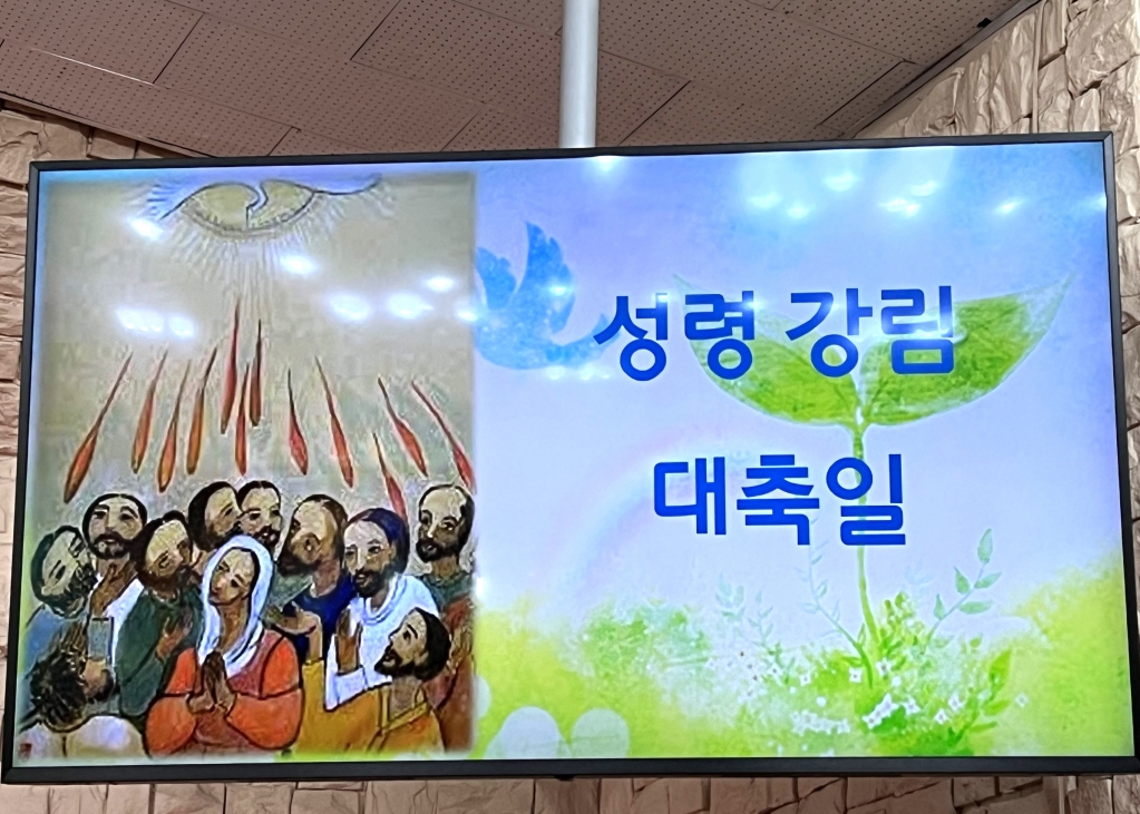 240519_성령강림대축일_01.jpg